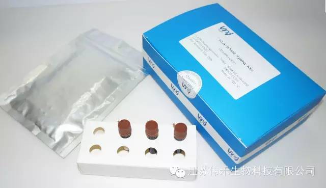 HLA基因分型檢測之創(chuàng  )新與領(lǐng)先——偉禾生物HLA-B*1502檢測產(chǎn)品