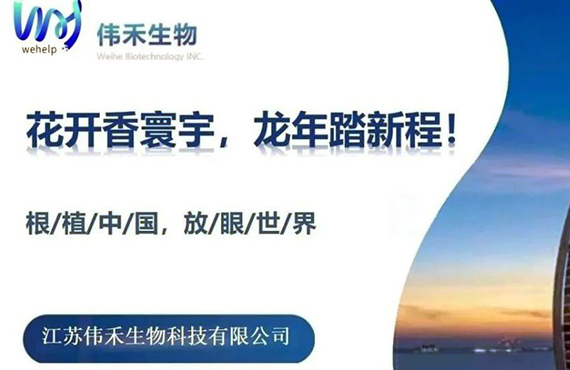 海外業(yè)務(wù)擴展，首戰告捷?。?！ 