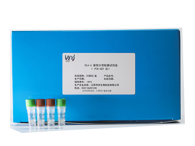 HLA-A基因分型檢測試劑盒（PCR-SBT法）