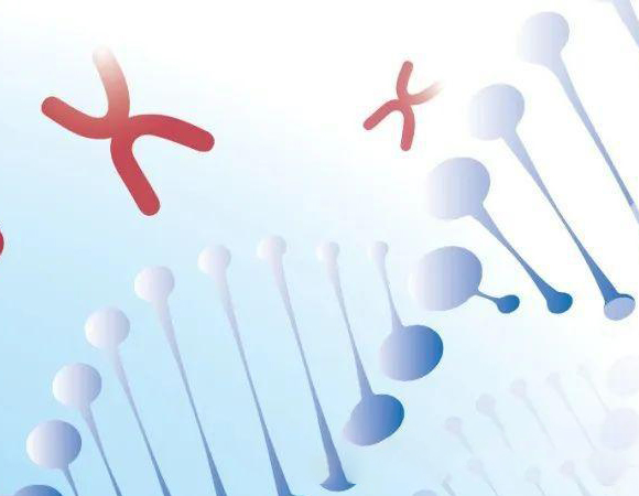 移植術(shù)前術(shù)后全病程系列解決方案