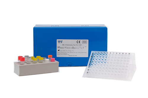 HLA DPB1 基因分型檢測試劑盒(SBT)