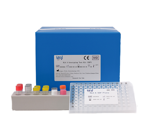 HLA C 基因分型檢測試劑盒(SSP)