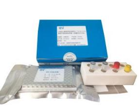 CYP3A5基因分型產(chǎn)品