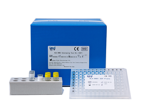 HLA DRB1 基因分型檢測試劑盒(SSP)