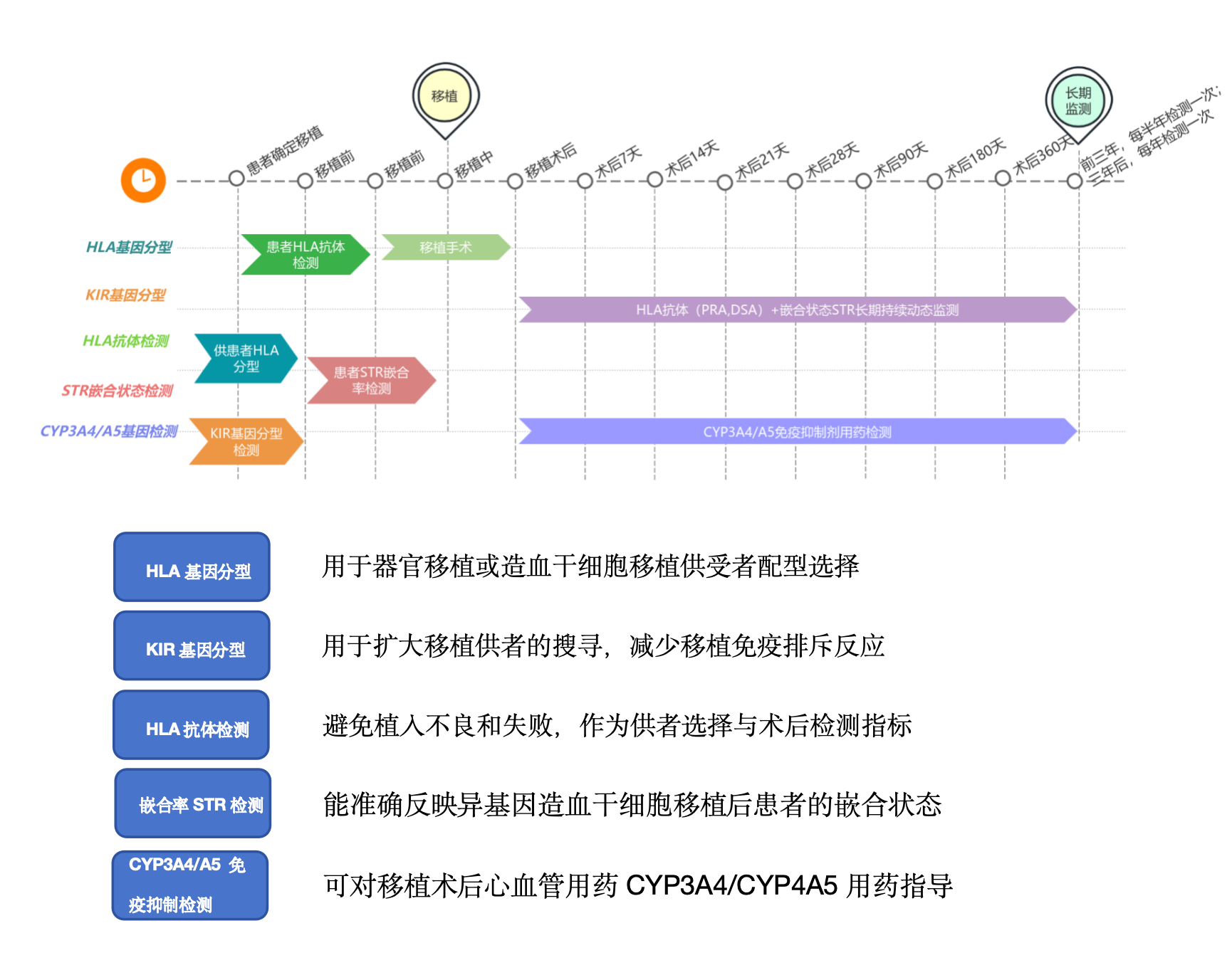 WX20240430-112652@2x.png